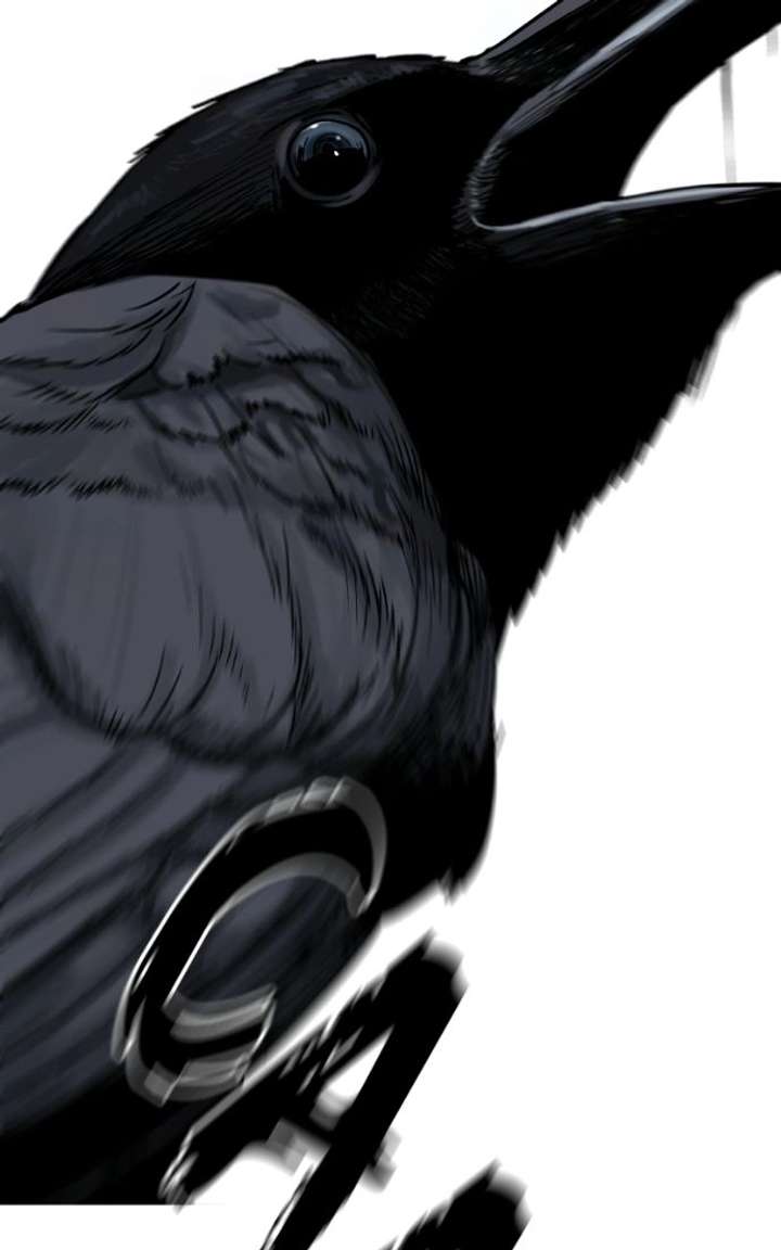 ch 52 126