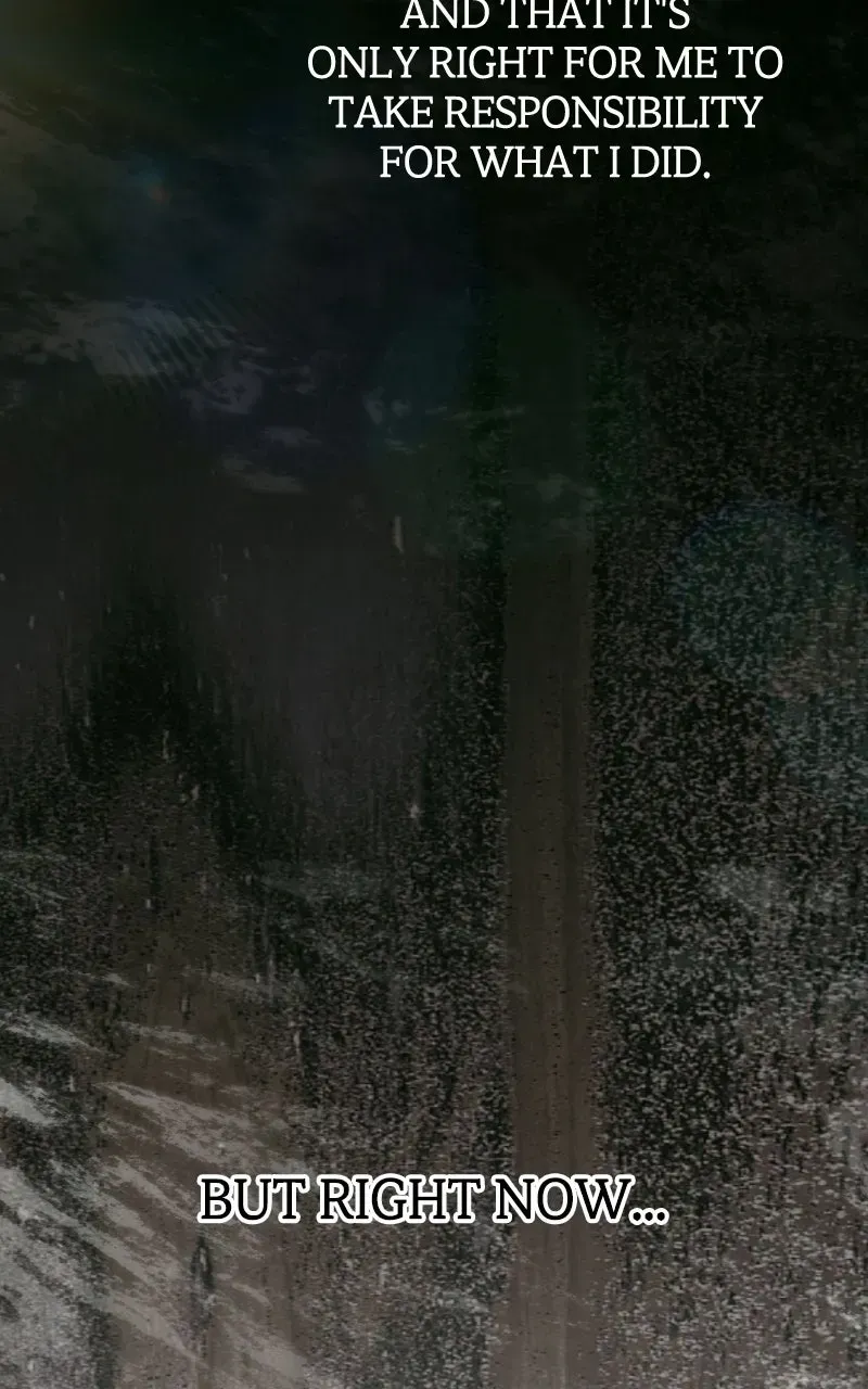 ede1b719336a