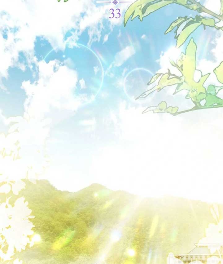 ch 33 80