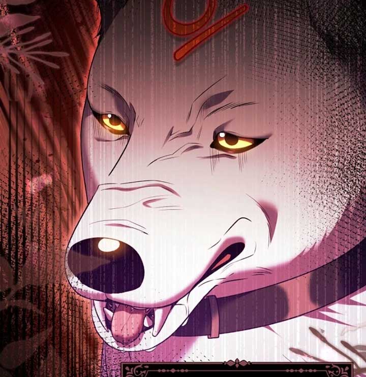 ch 35 20