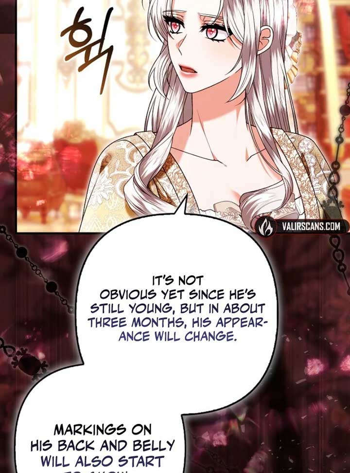 ch 35 26