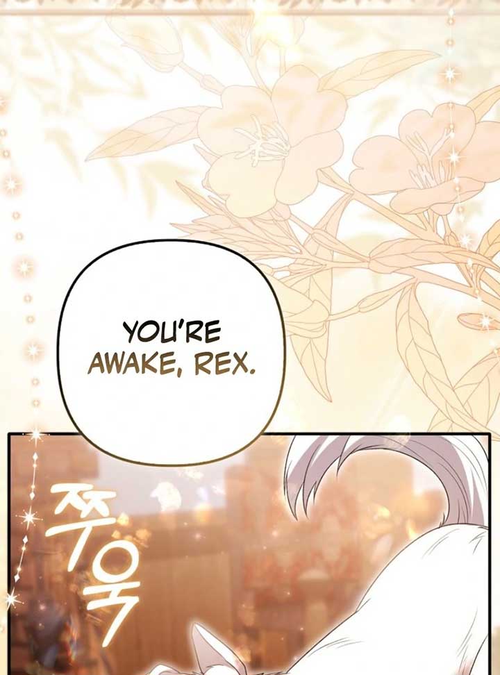 ch 35 71