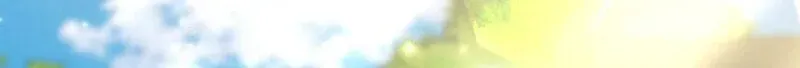 2f099b49d04b
