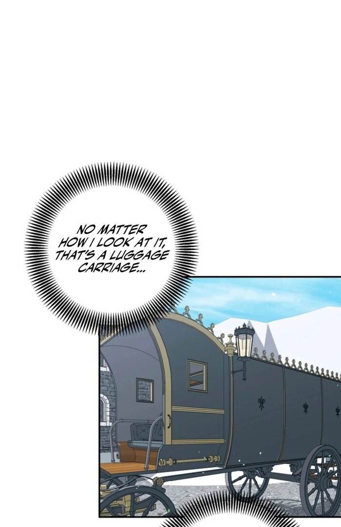 My Male Lead Is the Northern Black-Haired Grand Duke Chapter 38 298 42