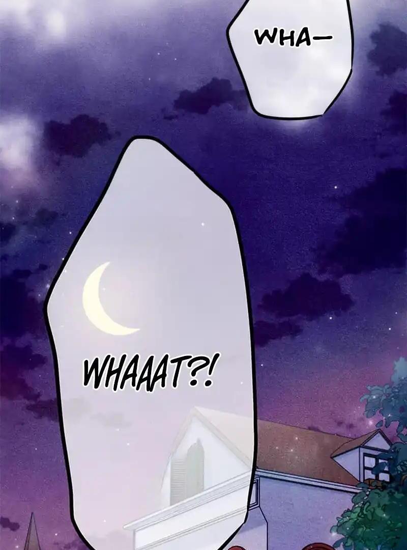 041