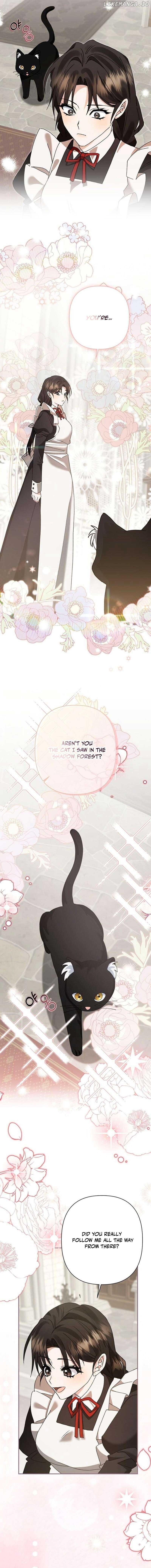ch 4 14