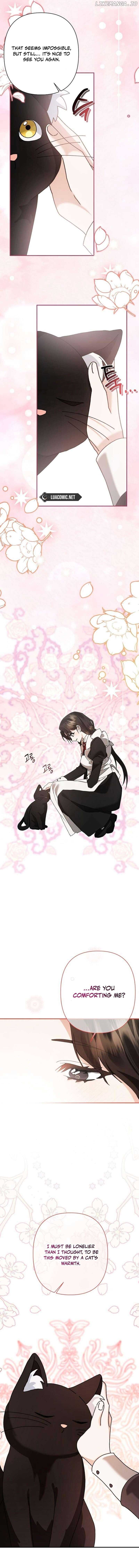 ch 4 15