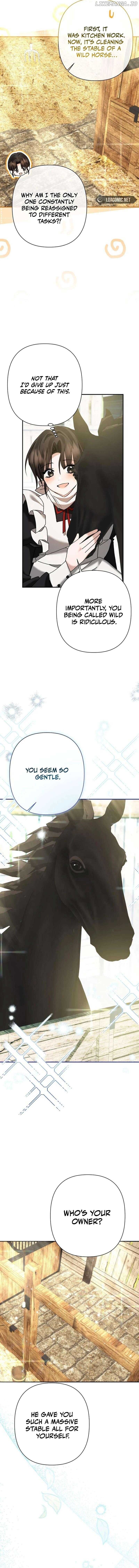 ch 5 17