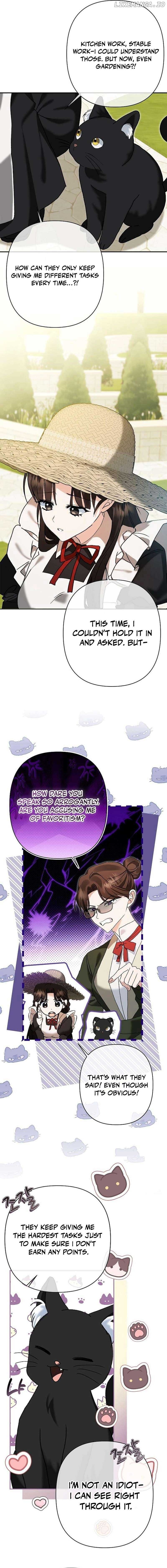 ch 6 11