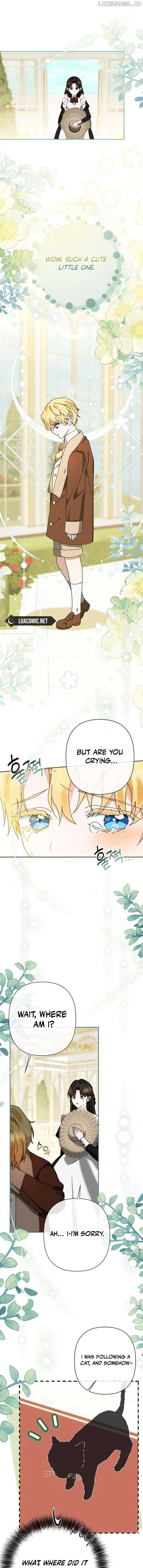 ch 6 13
