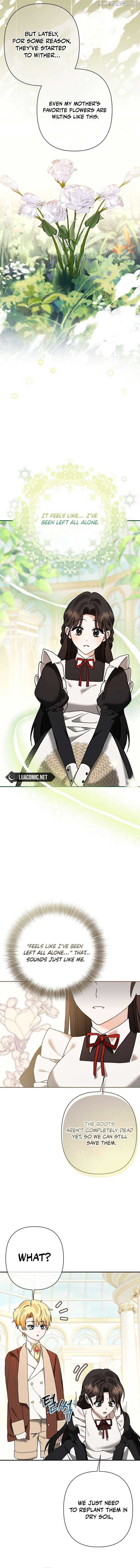 ch 6 15