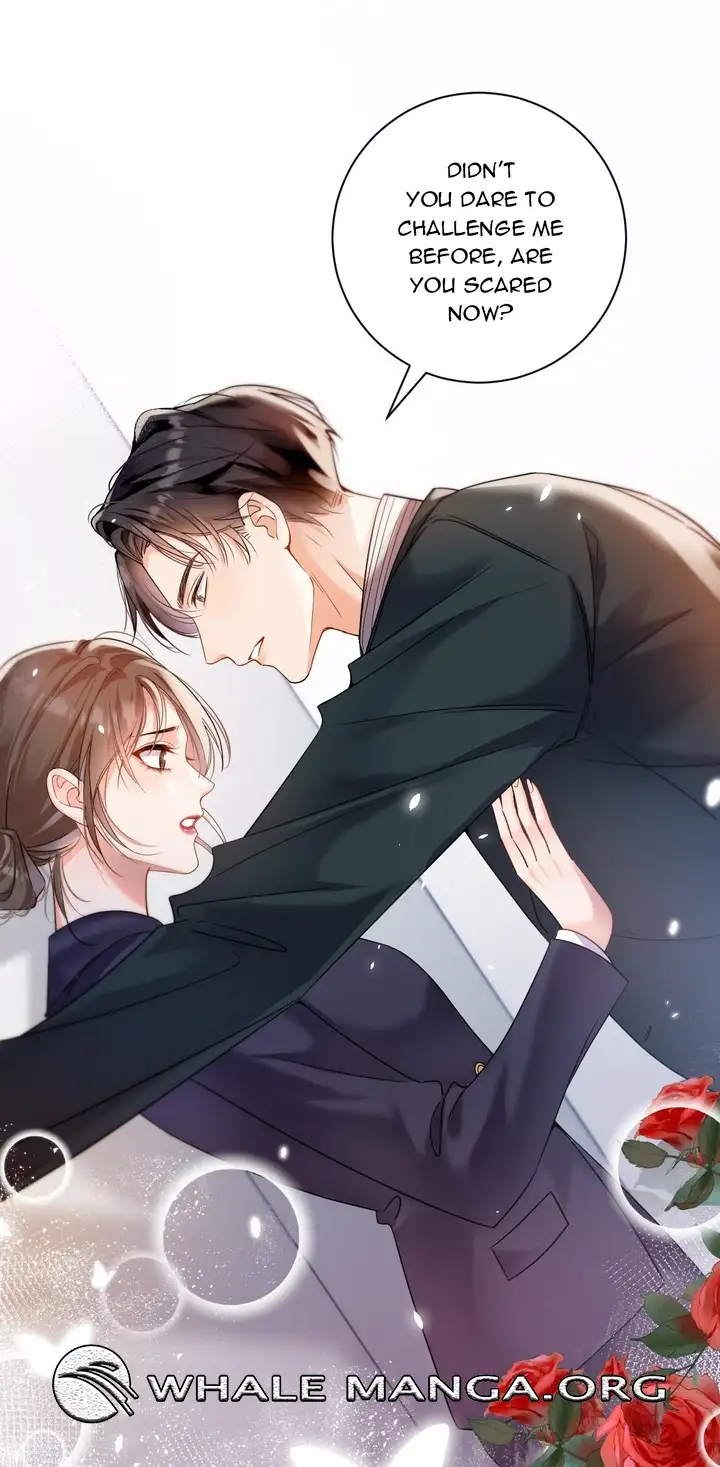 Chief’s Cute Baby: Buy One Get One Free Chapter 4 104 ch 4 22