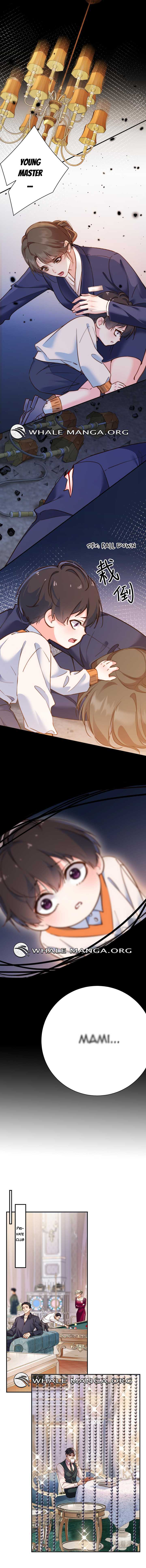 Chief’s Cute Baby: Buy One Get One Free Chapter 5 32 ch 5 4