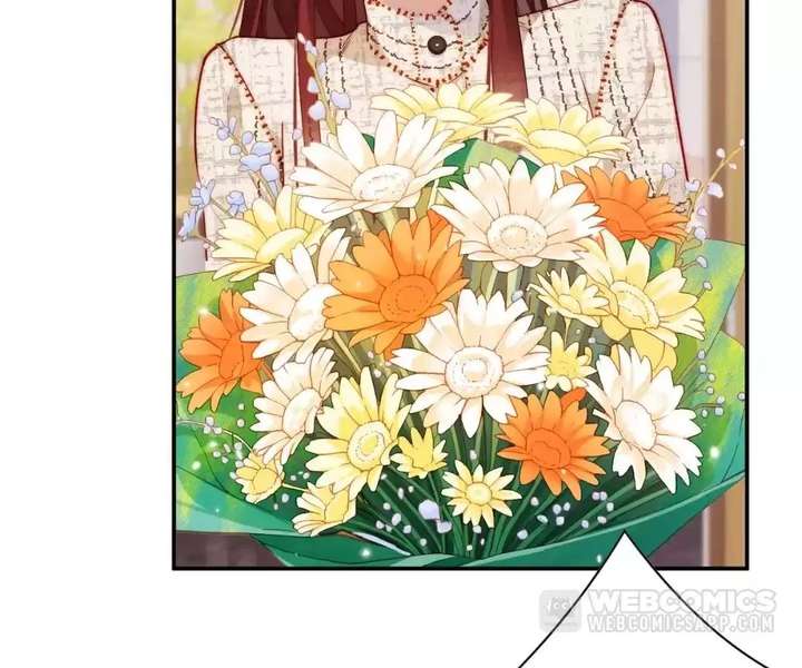 Chief’s Cute Baby: Buy One Get One Free Chapter 57 272 ch 57 11
