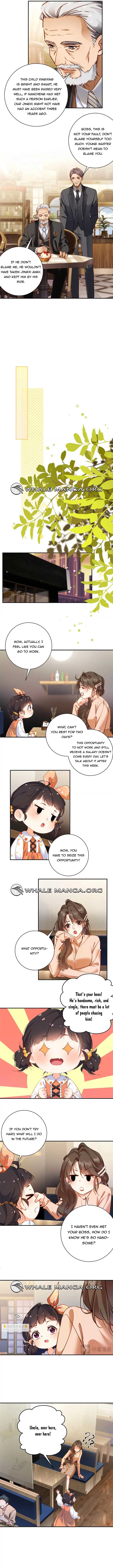 Chief’s Cute Baby: Buy One Get One Free Chapter 6 30 ch 6 5