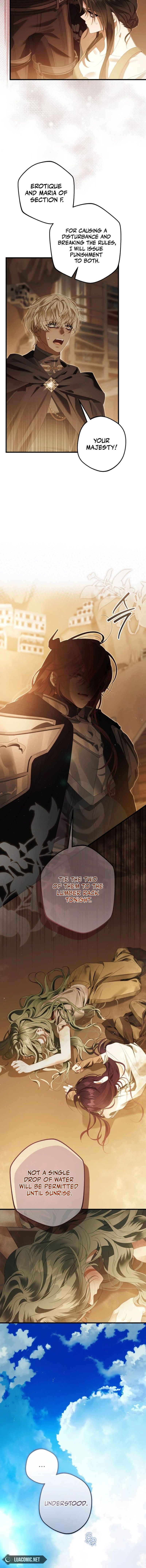 ch 13 11