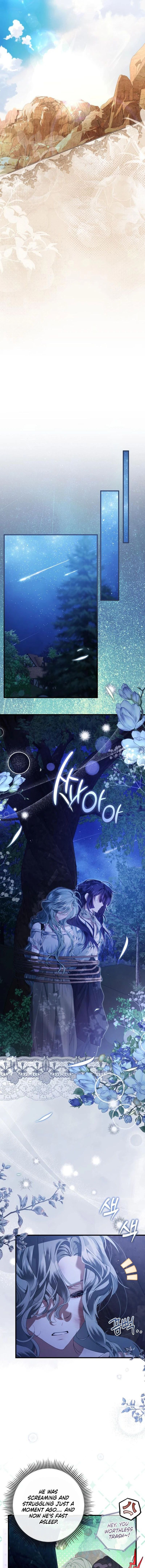 ch 13 12