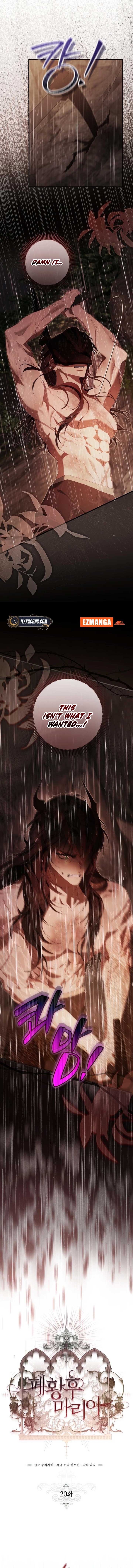 ch 20 4