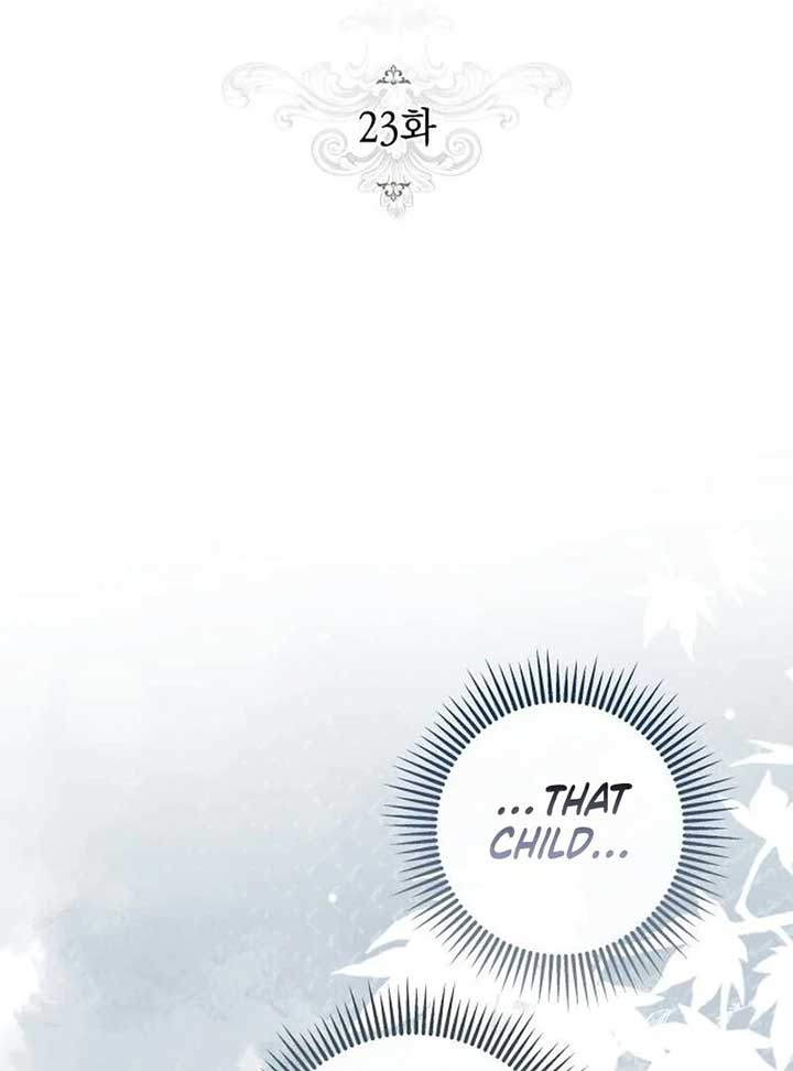 ch 23 16