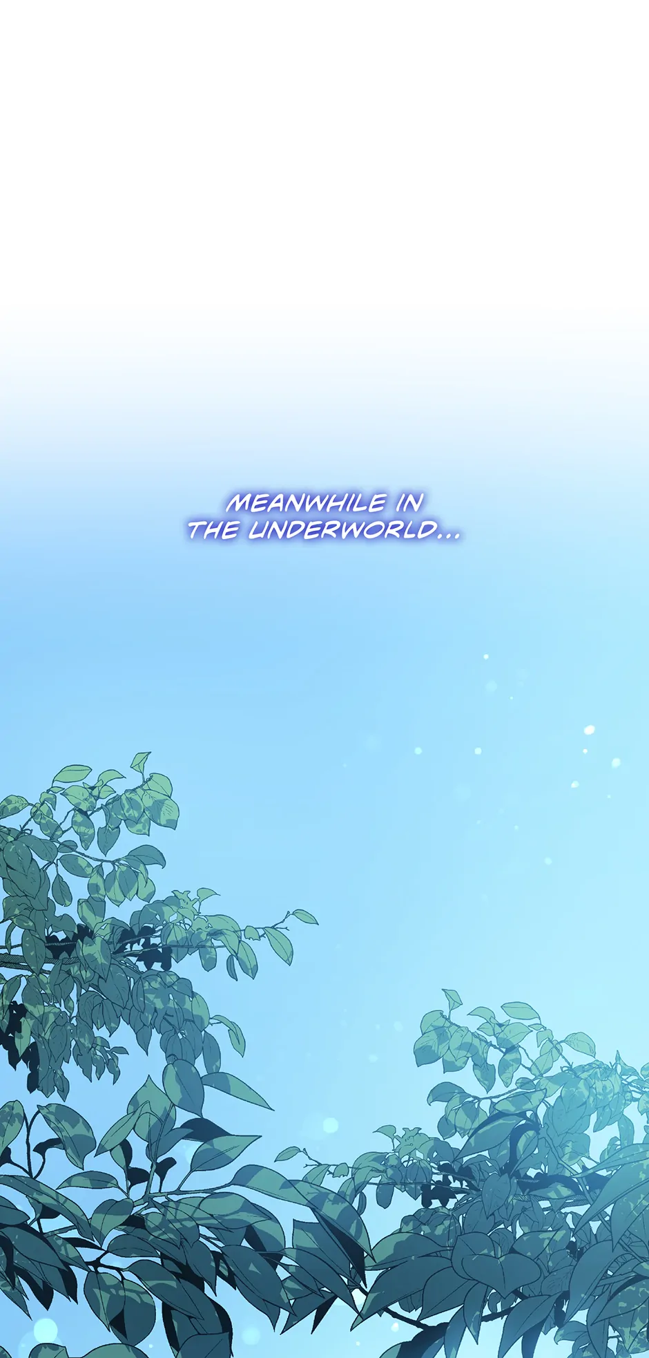 ch 24 4