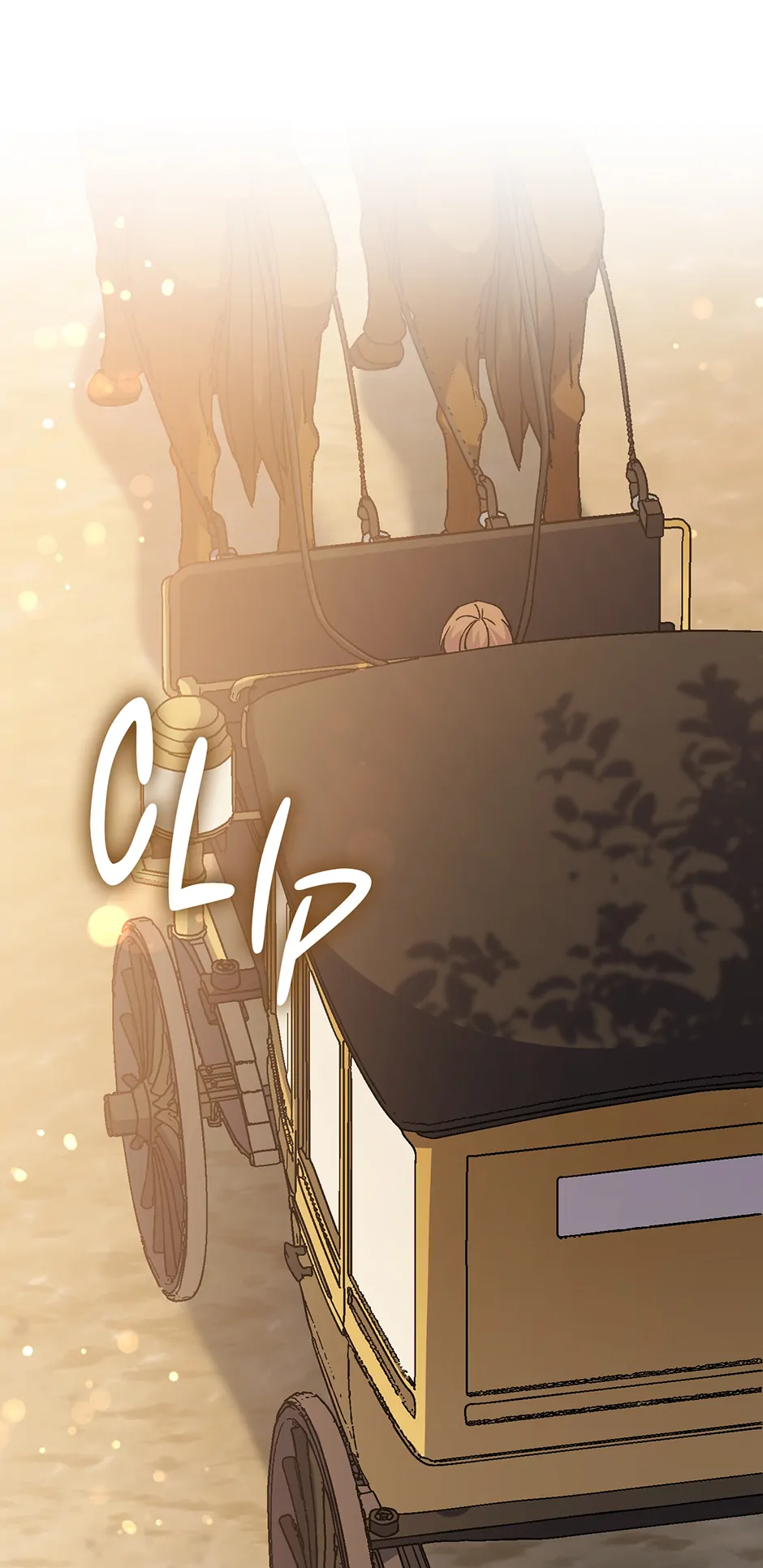 ch 37 79
