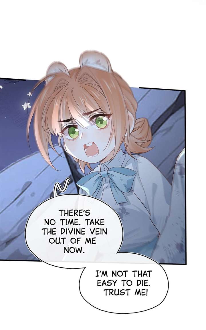 ch 33 19