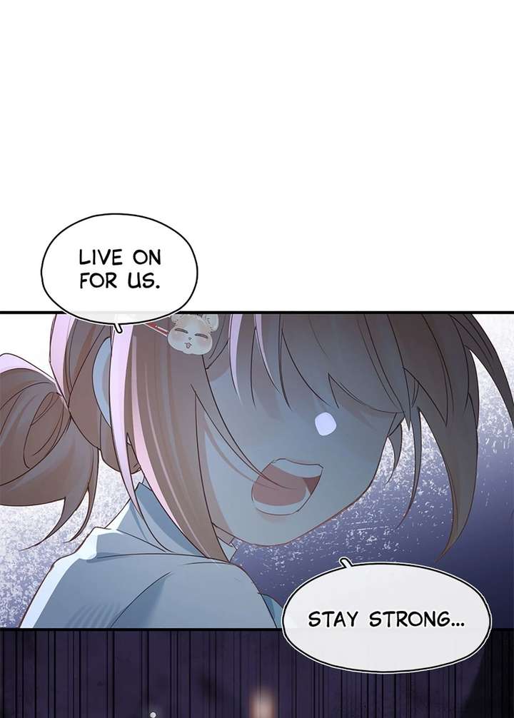 ch 33 33