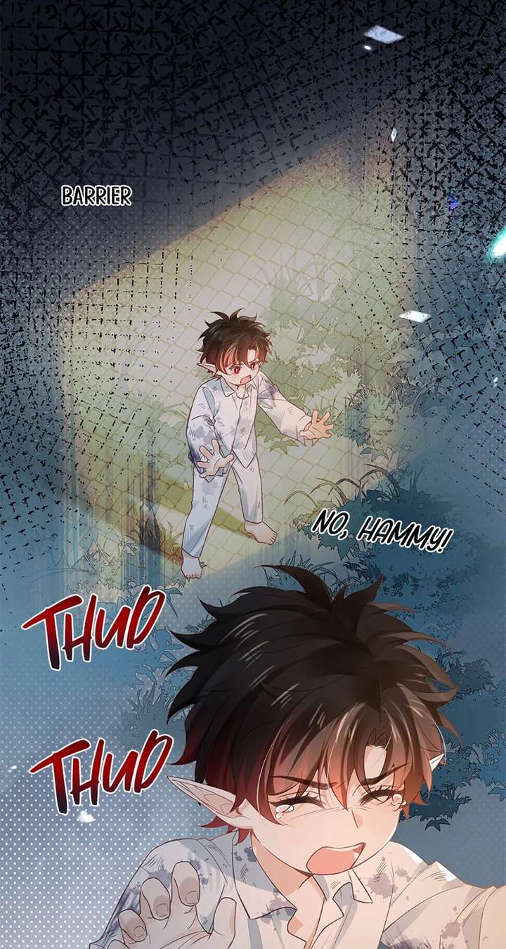 ch 33 47