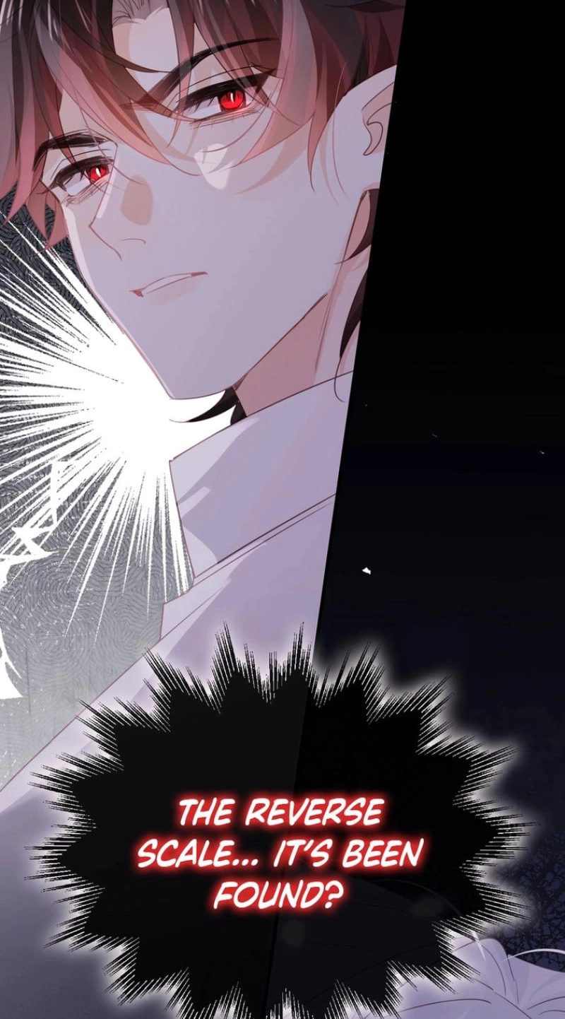 6e0fff642fbf