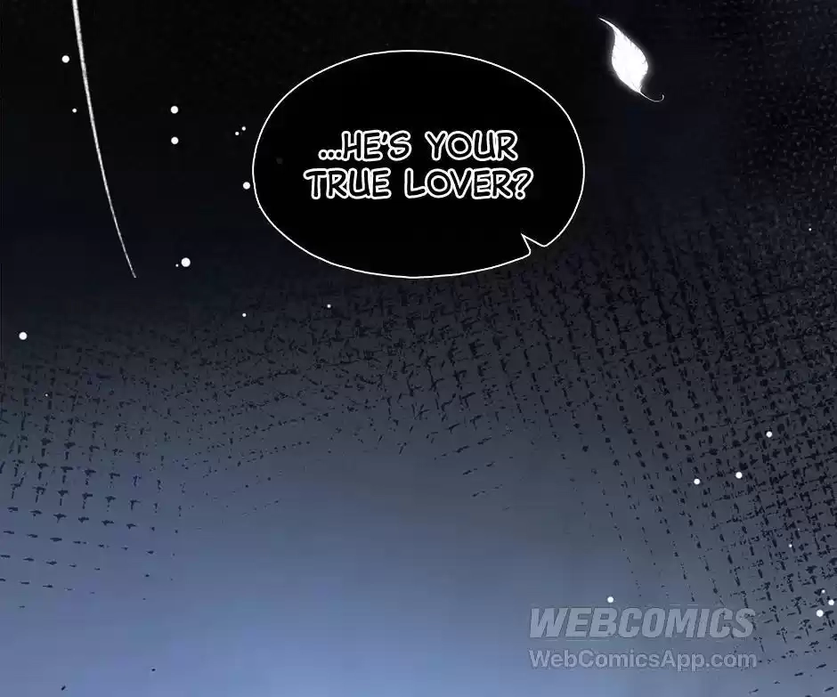 d3336cea5ca5