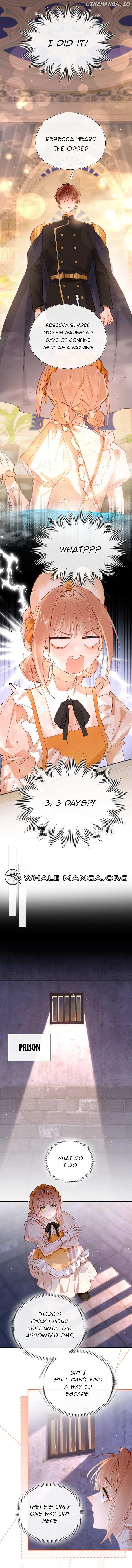 ch 4 4