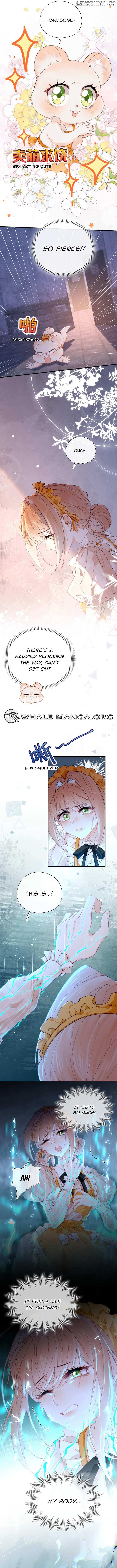 ch 4 6