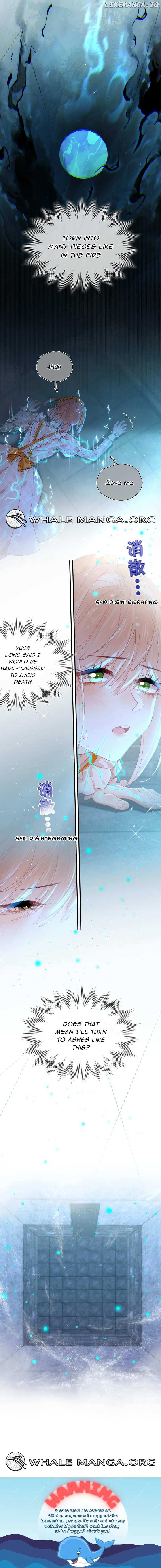 ch 4 7