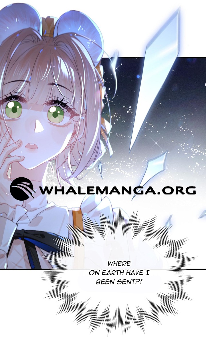 ch 6 19