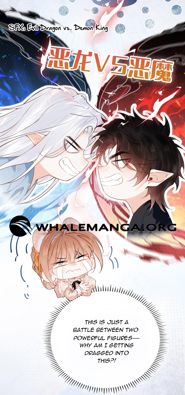 ch 6 3