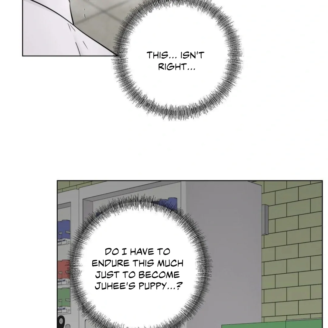 ch 12 43