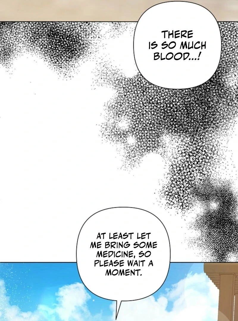 ch 19 26