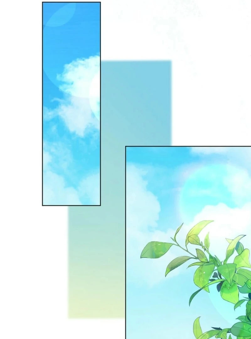 ch 20 28
