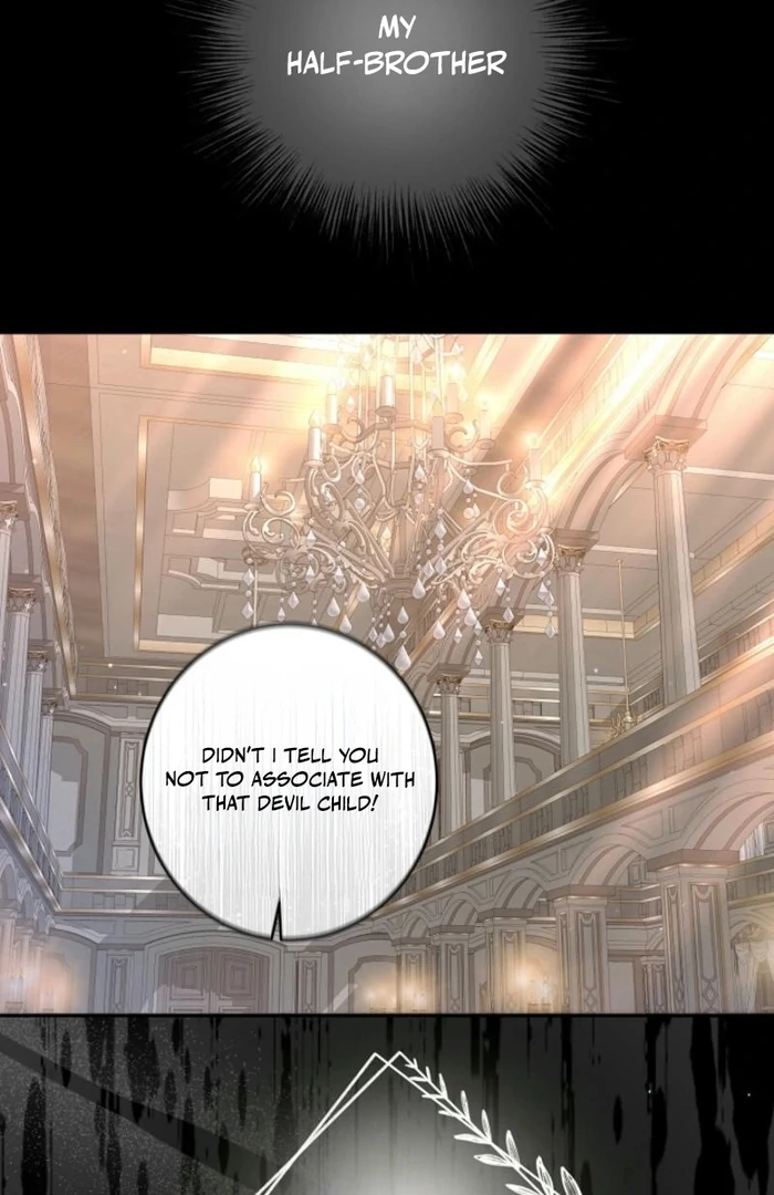 ch 29 8