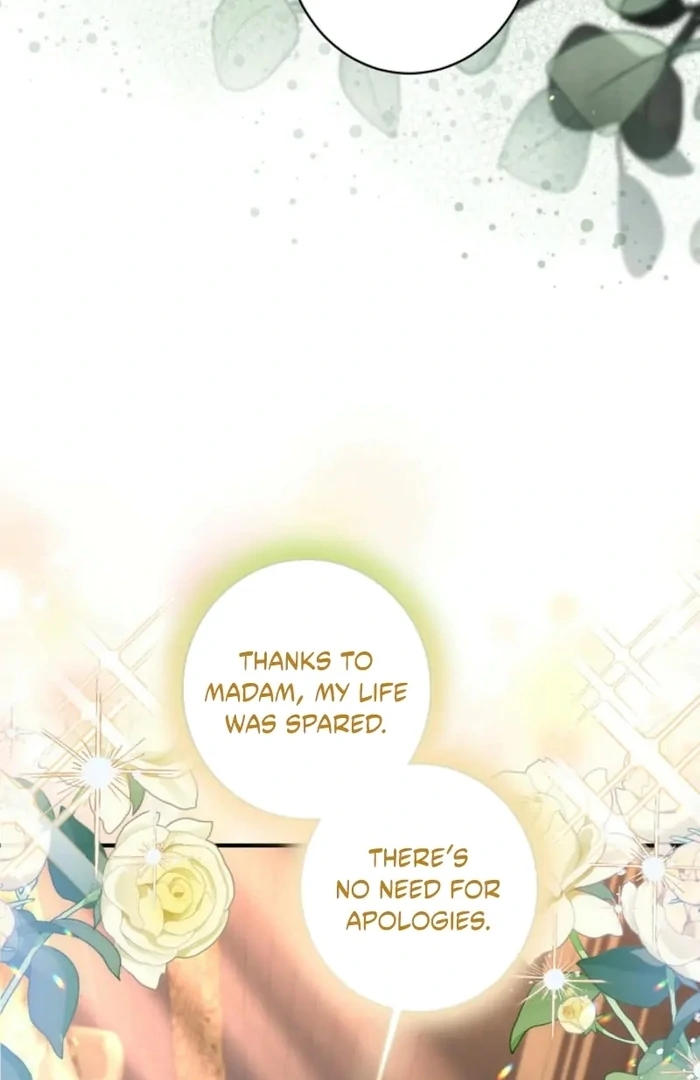 ch 31 33