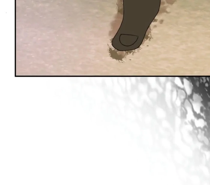ch 31 83