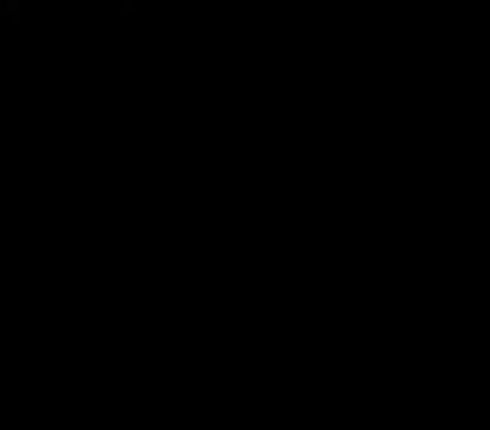ch 36 19