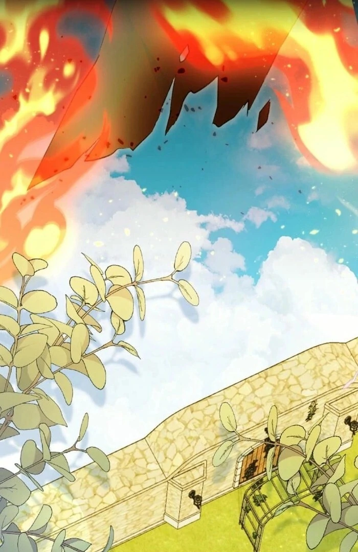 ch 41 1