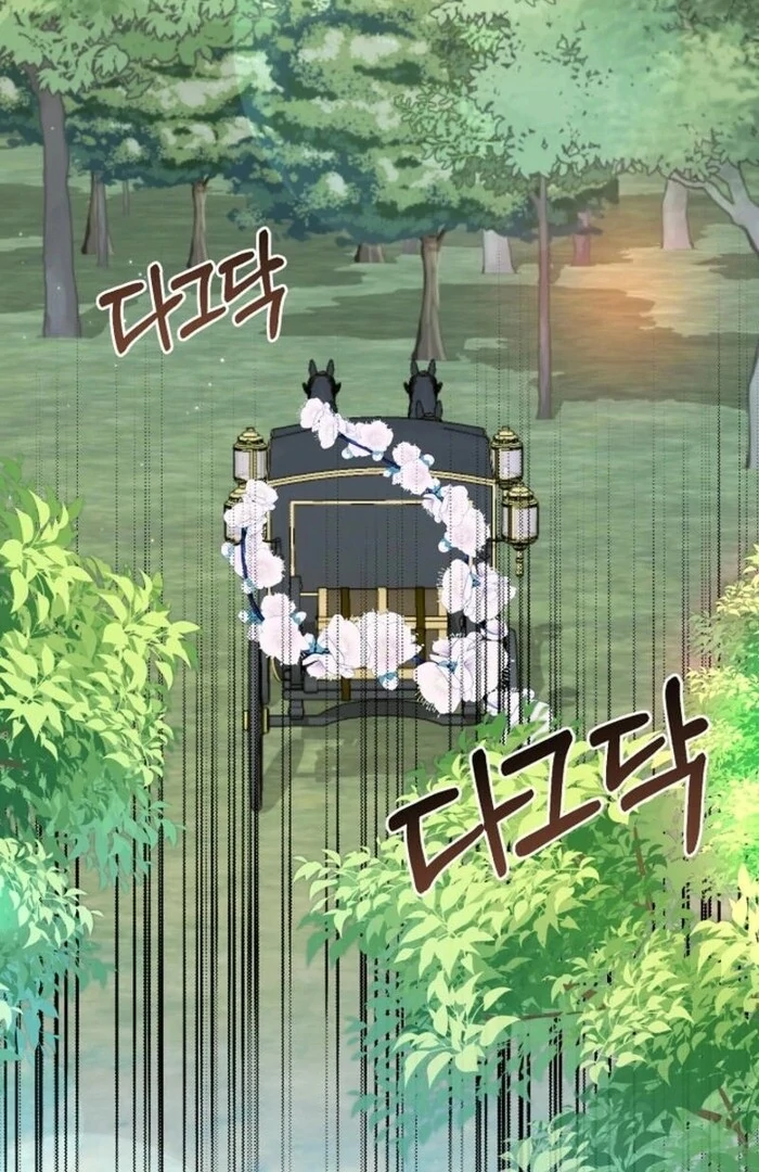 ch 41 24