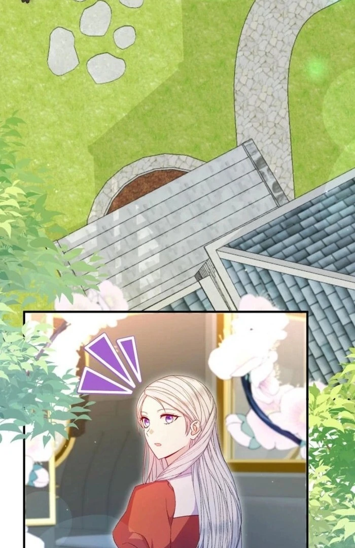ch 41 3