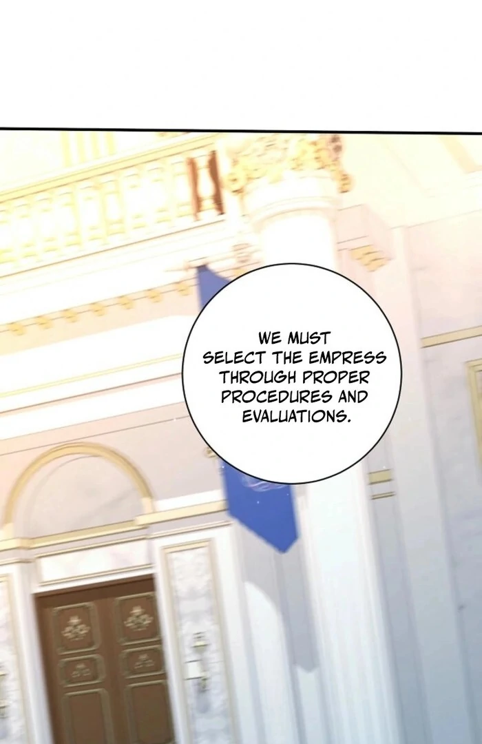 ch 41 81