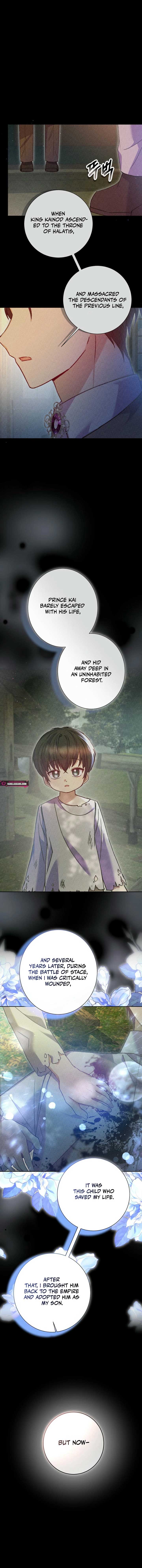 ch 49 6