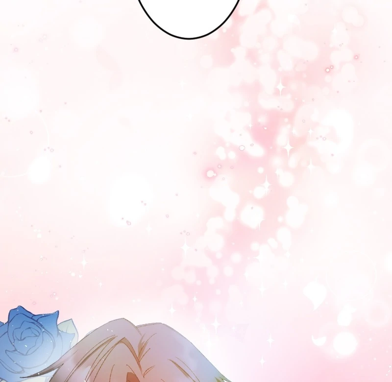 ch 11 48