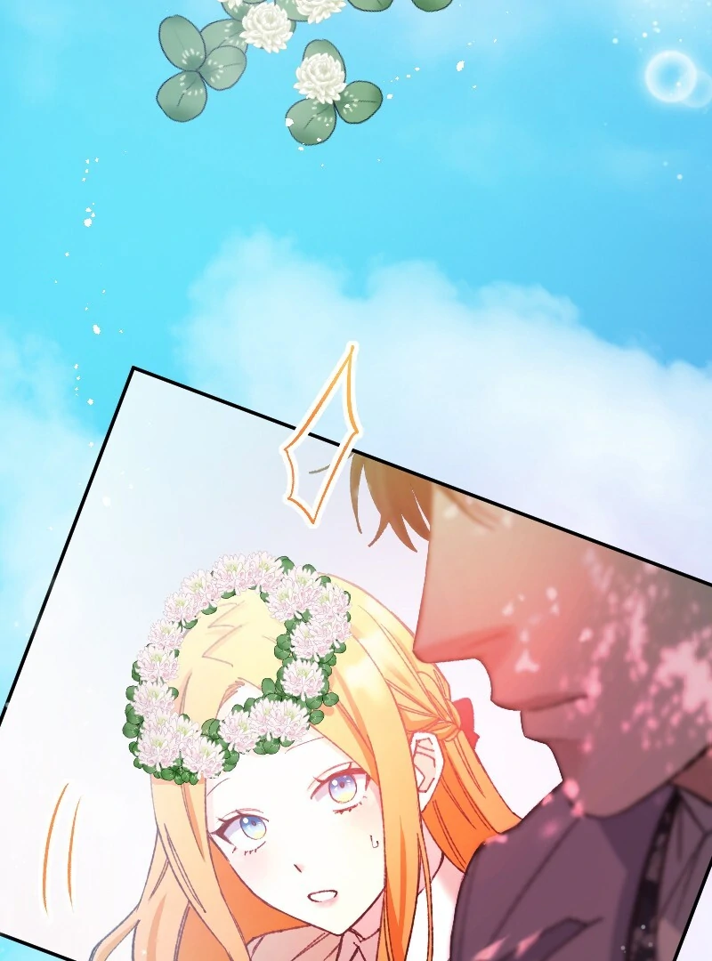 ch 11 8