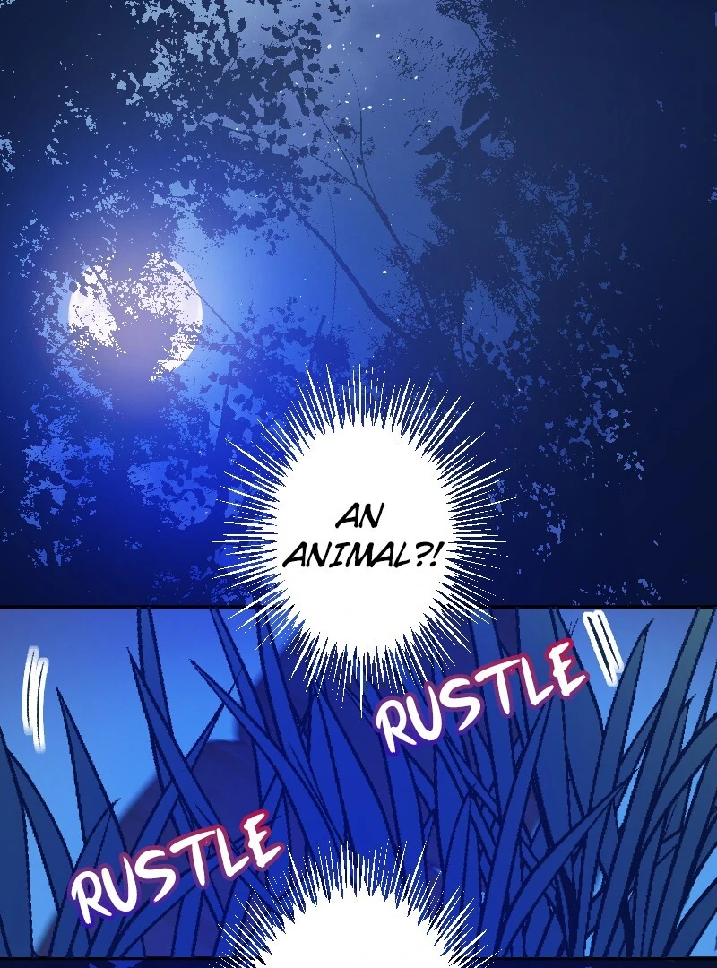 ch 13 1